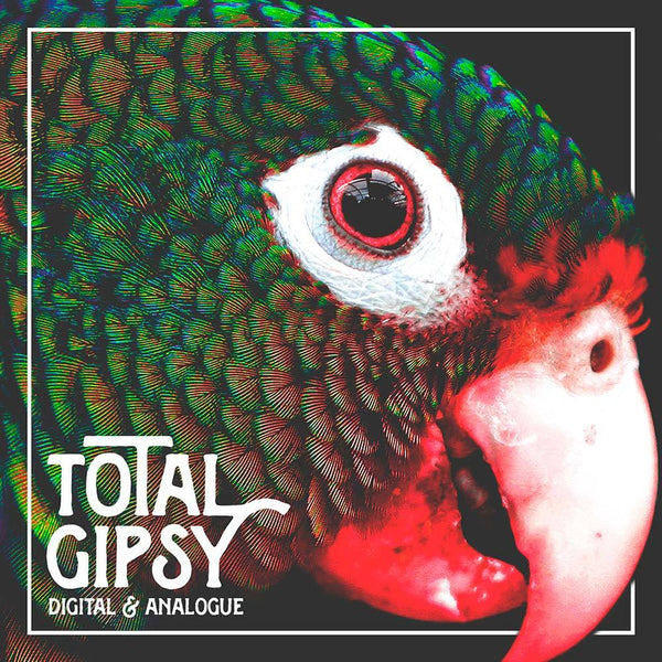 "Digital & Analogue" by Total Gipsy [デジタルダウンロード]